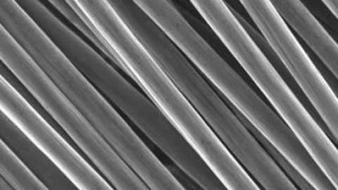 Elektronenmikroskop-Aufnahme vieler Fasern