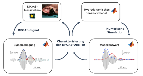 Iterative Analyse der DPOAE-Generierung 
