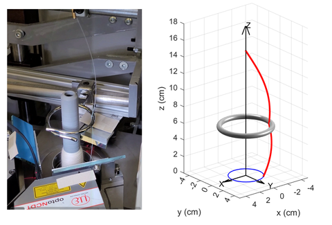 Abbildung Ringspinnen