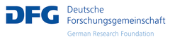 DFG logo international