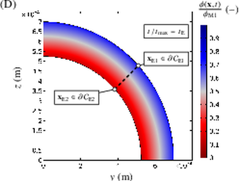 Electric potential in steady-state conditions for an hollow cylinder obtained by simulating the electro-chemical model developed in the paper of Rossi and Wallmersperger [3]. 