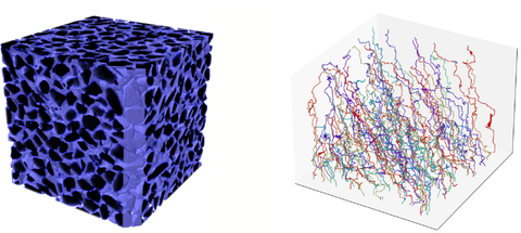 poröse Mikrostruktur und mögliche Pfade für Tortuositätsbestimmung