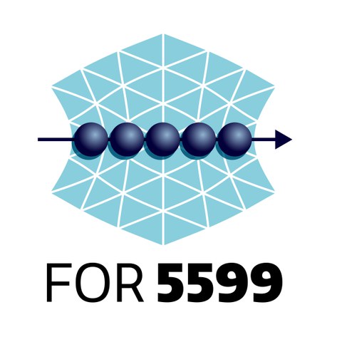 Logo FOR 5599