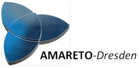 Das Ministerium für Wissenschaft und Kunst fördert mit Mitteln des EU-Strukturfonds EFRE von 2017 bis 2020 das Verbundprojekt AMARETO in Höhe von 5,5 Millionen Euro. Die Professur ist mit einem Teilprojekt zur integrativen Prozess- und Strukturanalyse beteiligt. 