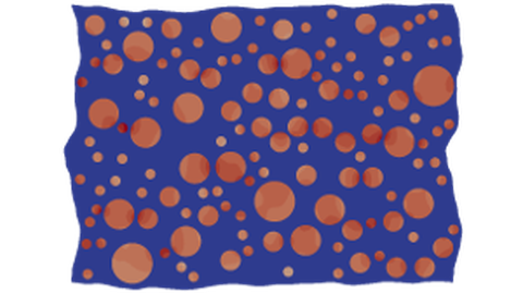 Magnetisierungsverteilung in einem magnetorheologische Elastomer