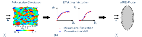 Datengetriebene Simulation isotroper Materialien: (a) KNN zum Ersetzen eines klassischen Materialmodells und (b) virtueller Pobekörper zur Datengenerierung unter uniaxialem Zug.