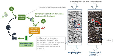 Carboncycle_de