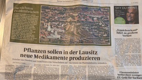 Artikel der SZ zum Green Pharming Projekt