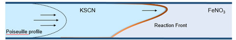Schematic of the reaction front under investigation