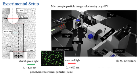 Experimental Setup