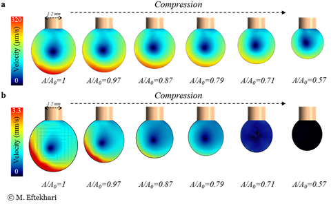 Internal circulation