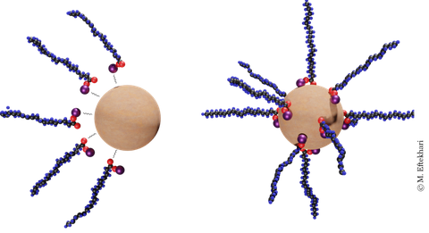 Schematic of nanoparticle-surfactant complex formation due to attractive electrostatic forces