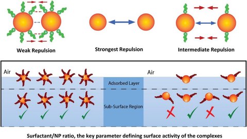 Nanoparticle-surfactant complexes