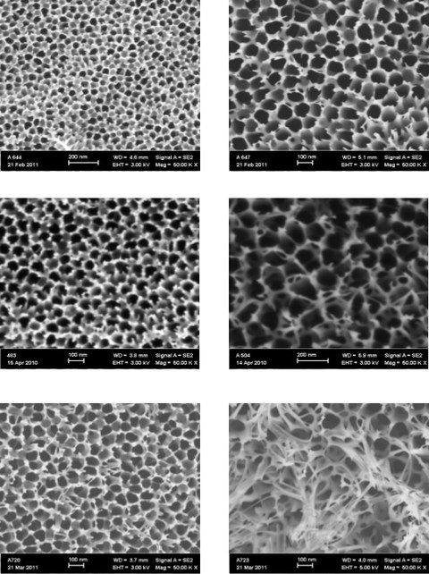 Eine Serie von sechs Rasterelektronenmikroskopie-Bildern zeigt die Oberflächen von anodisch erzeugtem, porösen Aluminiumoxid. Je nach Versuchsbedingung sind die Poren unterschiedlich groß.