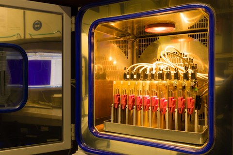 Eine Reihe von LIB-Testzellen werden in einem Klimaschrank elektrisch charakterisiert.