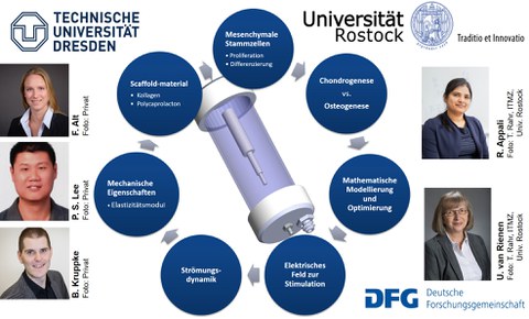 Übersichtsgrafik über die ineinandergreifenden, interdisziplinären Forschungsthemen des DFG-Projektes mit Fotos der beteiligten Forscherinnen und Forscher