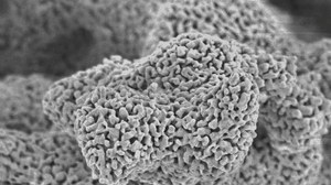 pyroelektrisch aktive Beschichtung mit Strontiumbariumniobat-Nanopartikeln