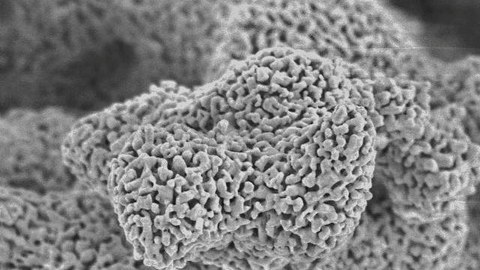 pyroelektrisch aktive Beschichtung mit Strontiumbariumniobat-Nanopartikeln