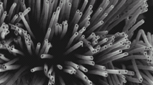 Nanotubes2
