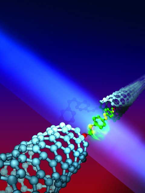 Molecular Junction