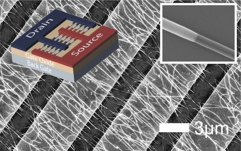 Image of Parallel arrays of Schottky barrier nanowire field effect transistors: Nanoscopic effects for macroscopic current output