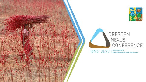 DNC 2022. Teaserbild