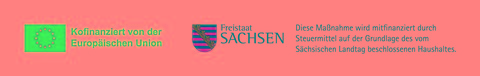EU Sachsen Logo