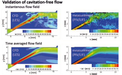 Comparison of results of the numerical simulation with PIV- / LIF-measurements of the flow without cavitation