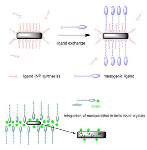 Einbettung von Magnetnanopartikeln in Flüssigkristallmatrizes