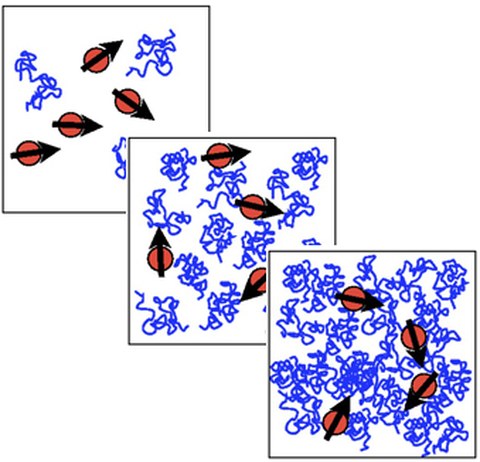 Skizze magnetischer Nanopartikel in Polymerlösungen zunehmender Konzentration