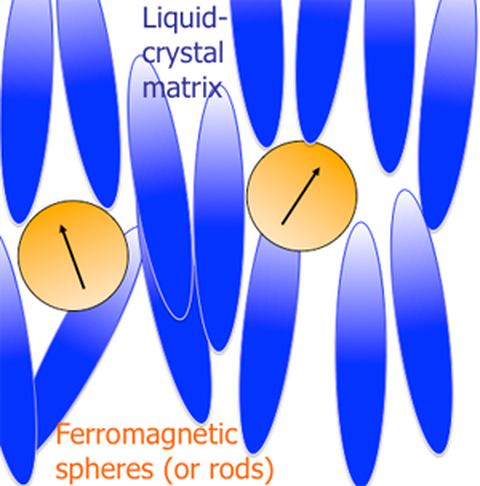Kompositsysteme aus ferromagnetischen Nanopartikeln