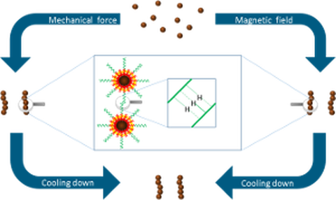 Funktionalen Polymer- nanokompositen