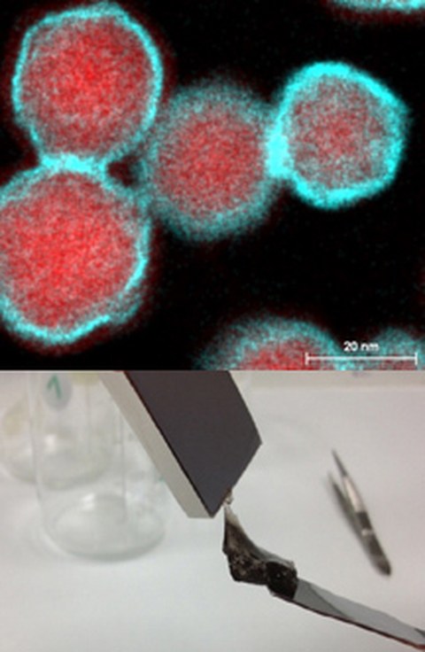 Au/Ni core-shell nanoparticles. (Bottom) Deflection of a nanoparticle/hydrogel composite in a magnetic field.