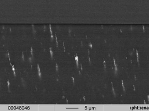 Rasterelektronenmikroskop-Aufnahme vom Querschnitt einer Kompositschicht nach dem Anlegen eines statischen Magnetfeldgradienten
