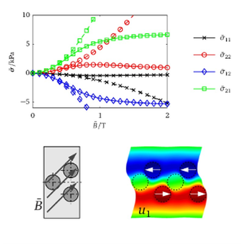 Effektive aktuatorische Spannungen für nichtlineares (durchgezogene Linien) und lineares magnetisches Materialverhalten (gestrichelte Linien) in Abhängigkeit der makroskopischen Flussdichte mit Verschiebungsfeld u1 (dreifach überhöht dargestellt) für eine