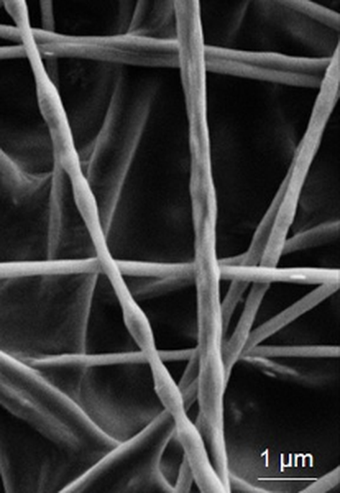 Rasterelektronenmikroskopische Aufnahme magnetischer Partikel in elektrogesponnen Fasern.