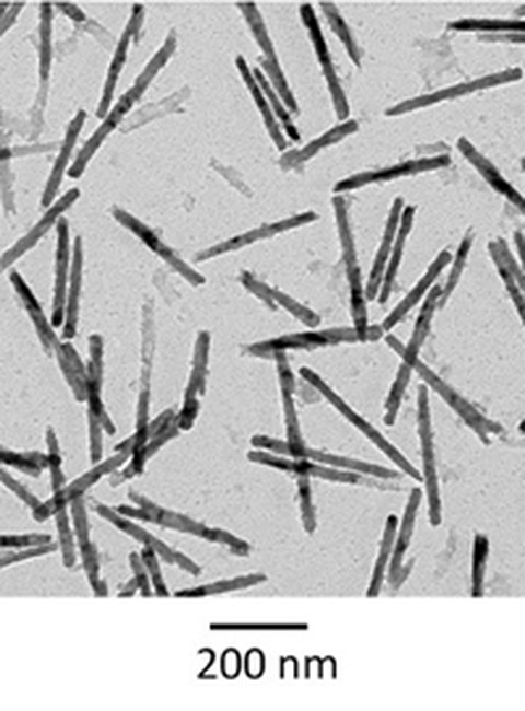 Transmissionselektronen-mikroskopische Aufnahme ferromagnetischer Nickelnanostäbe.