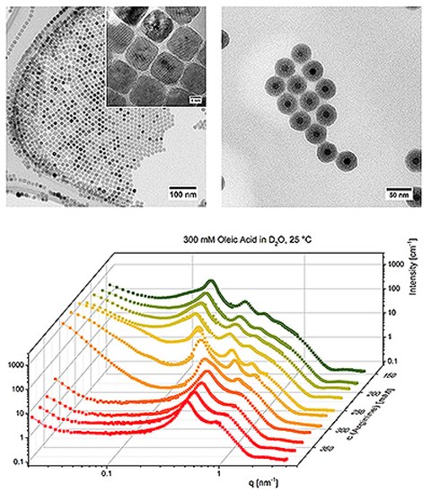 TEM Aufnahmen von monodispersen würfelförmigen Fe3O4 Nanopartikeln