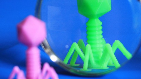 3D gedruckte grüne und violette Phagen, die sich unter einer Lupe befinden