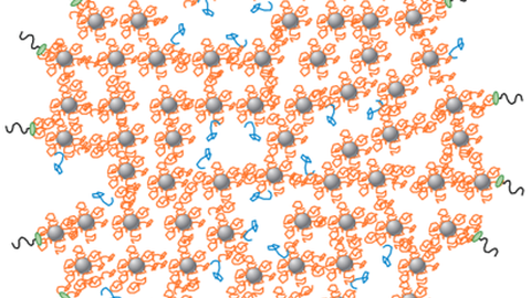 Struktur_Caseinmicelle.png