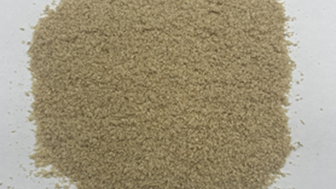 Okara - crop.png