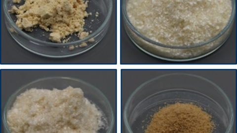 Pflanzenproteine2.png