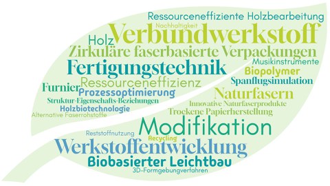 Vielfältigkeit der Forschungsfelder