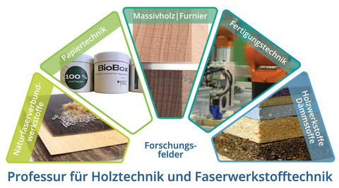 Research focus