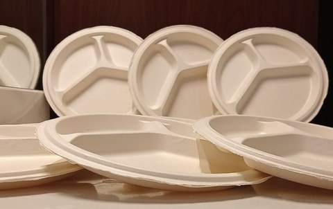 Faserguss-Teller aus 100 % Bagasse (Zuckerrorhreste)
