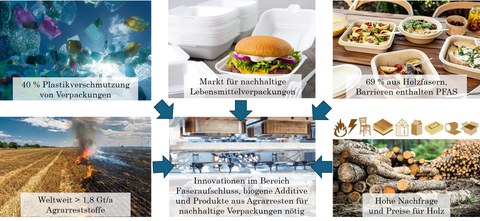 Motivation für das Forschungsprojekt BIOMOPAC