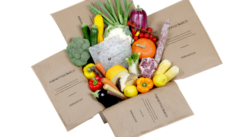 Im Bild ist eine neuartige versandverpackung aus Altpapier mit Thermoisolation zu sehen, welche mit Obst und Gemüse gefüllt ist.