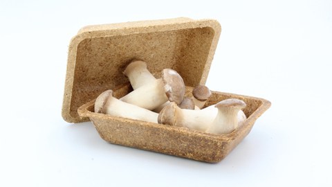 Kompostierbare Verpackungsschale mit Pilzen gefüllt