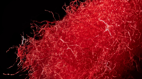 Das Bild zeigt recycelte Fasern von einer roten Serviette unter dem Mikroskop.