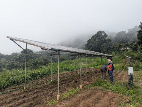 Eine Agro-PV-Anlage auf dem Landwirtschaftscampus der TTU in Ngerenyi, Kenia 